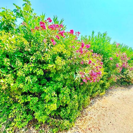 Tetraktys Estate Beachside Υδωρ Ágios Matthaíos Bagian luar foto