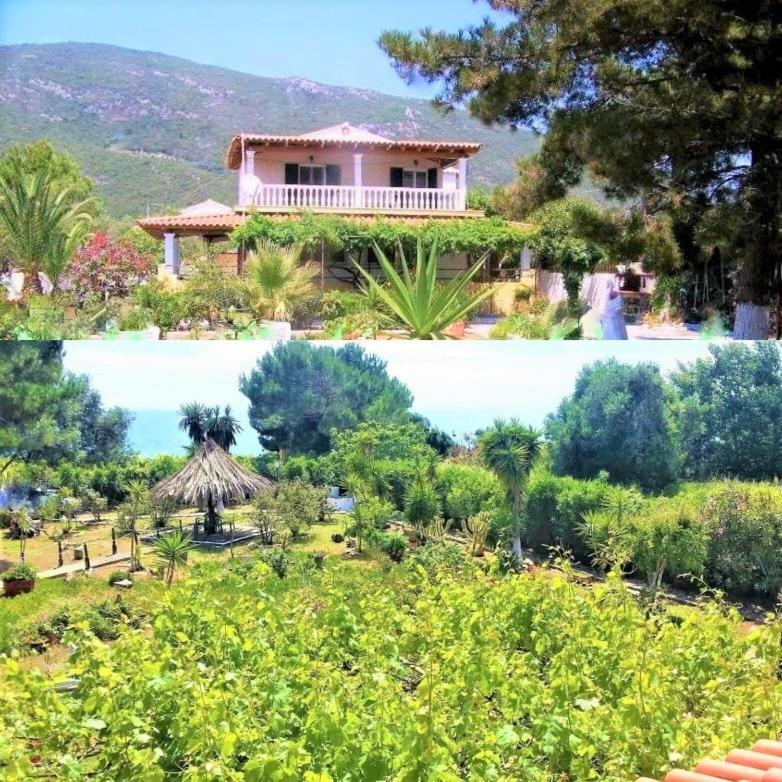 Tetraktys Estate Beachside Υδωρ Ágios Matthaíos Bagian luar foto