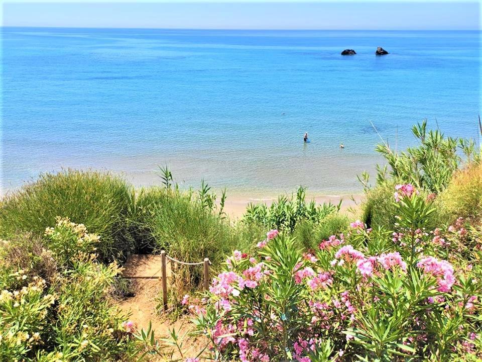 Tetraktys Estate Beachside Υδωρ Ágios Matthaíos Bagian luar foto