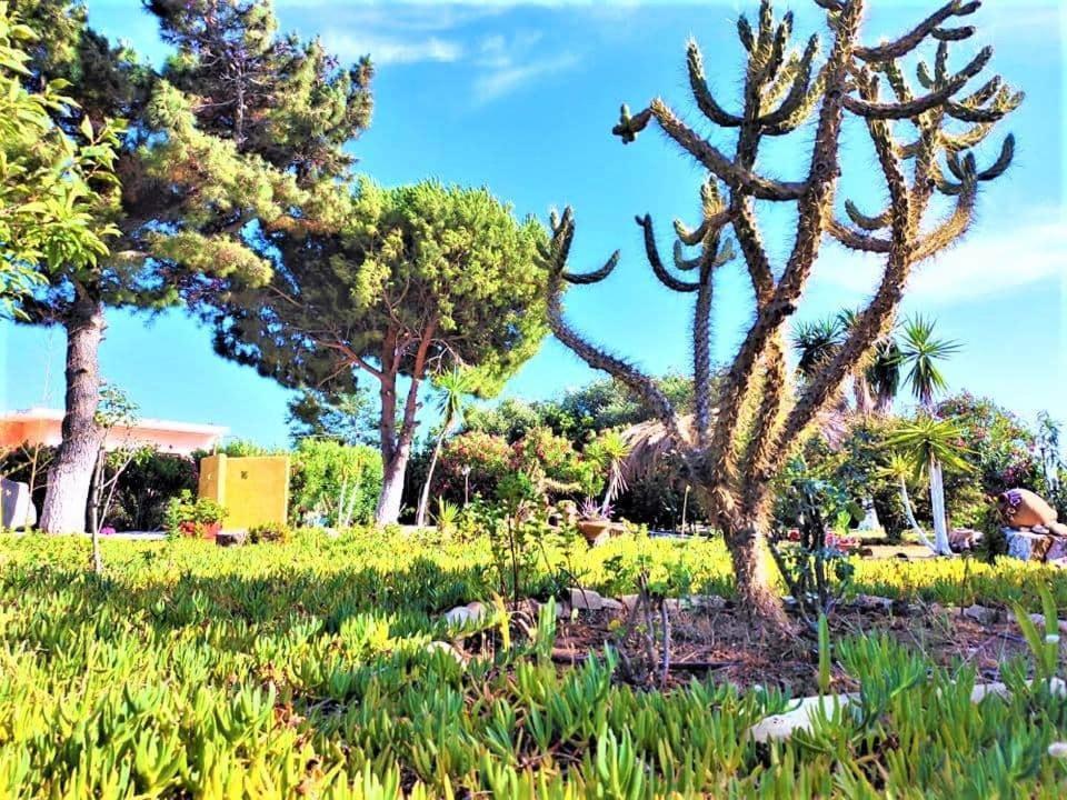 Tetraktys Estate Beachside Υδωρ Ágios Matthaíos Bagian luar foto