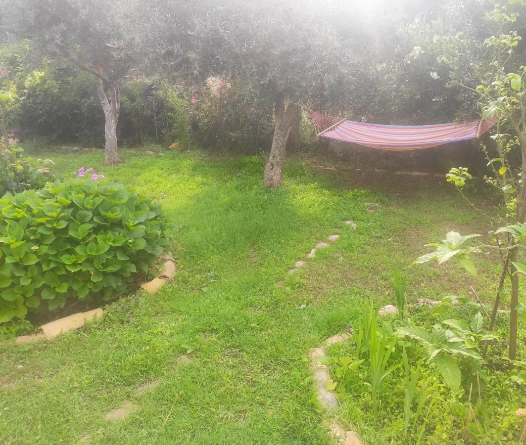 Tetraktys Estate Beachside Υδωρ Ágios Matthaíos Bagian luar foto