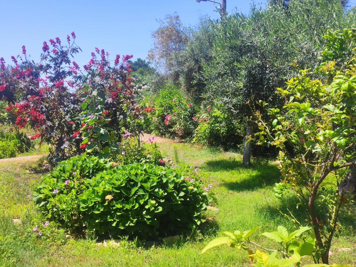 Tetraktys Estate Beachside Υδωρ Ágios Matthaíos Bagian luar foto