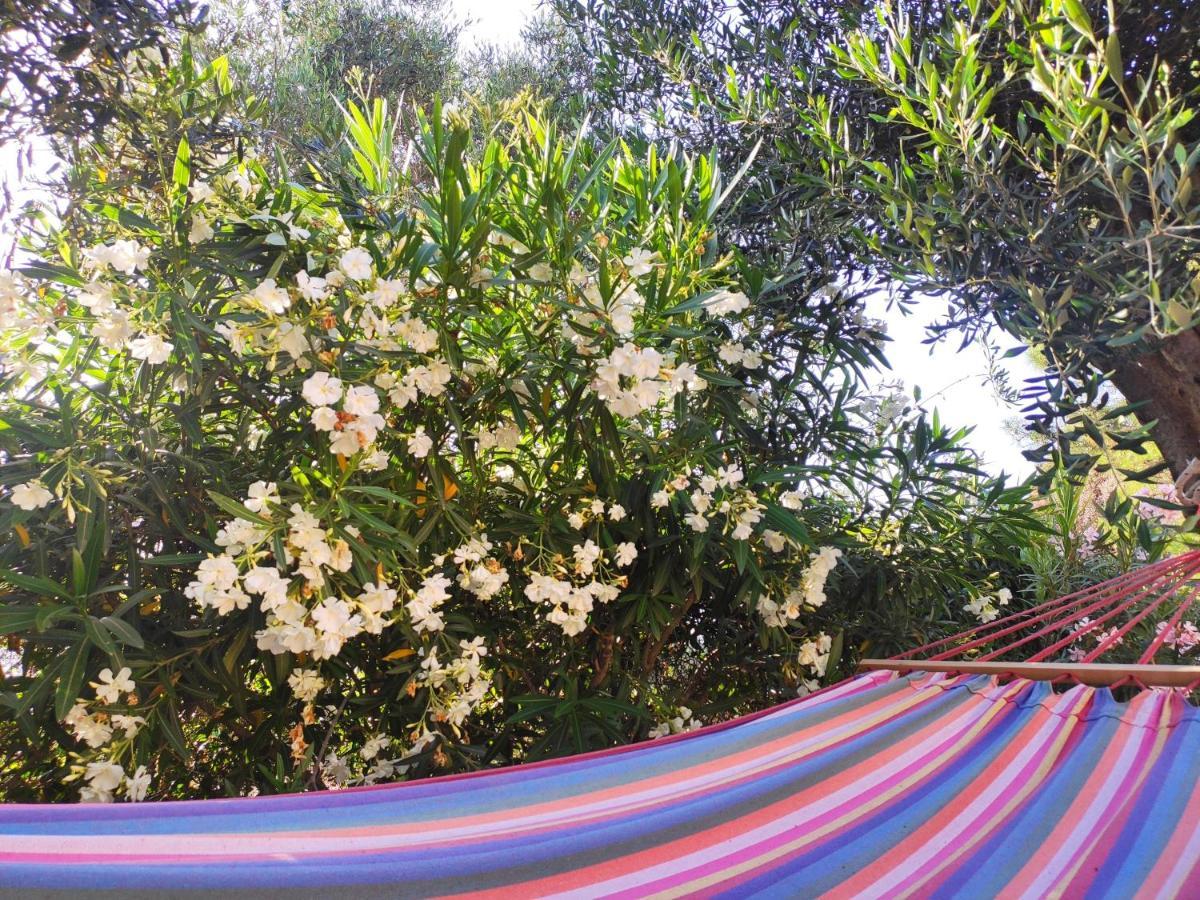 Tetraktys Estate Beachside Υδωρ Ágios Matthaíos Bagian luar foto