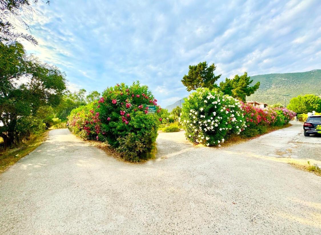 Tetraktys Estate Beachside Υδωρ Ágios Matthaíos Bagian luar foto