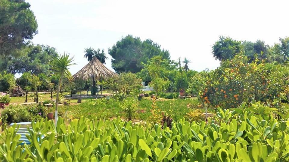 Tetraktys Estate Beachside Υδωρ Ágios Matthaíos Bagian luar foto